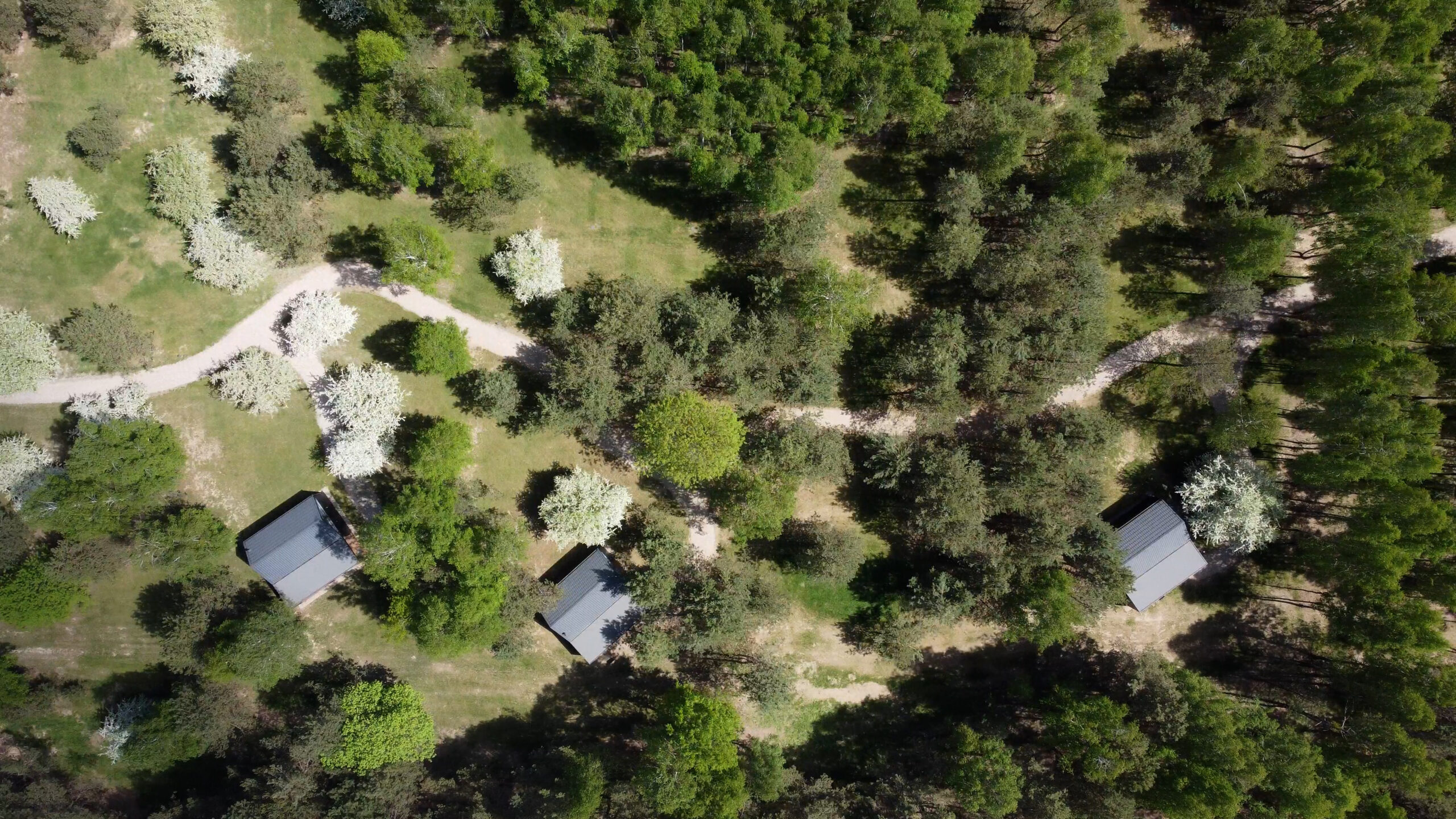 DJI_0379.MP4.00_00_19_00